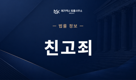 친고죄.png