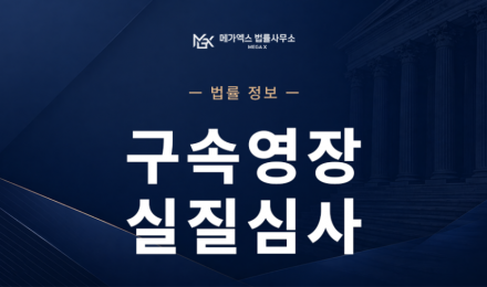 구속영장실질심사.png
